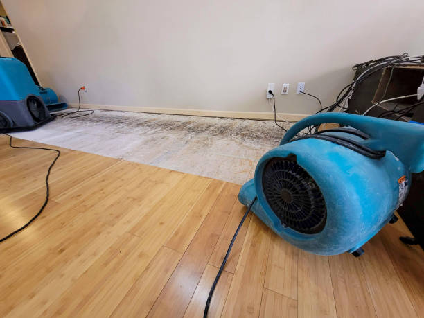 Professional Flood Damage Cleanup technician working in Lone Tree, IA